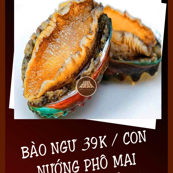 Bào ngư